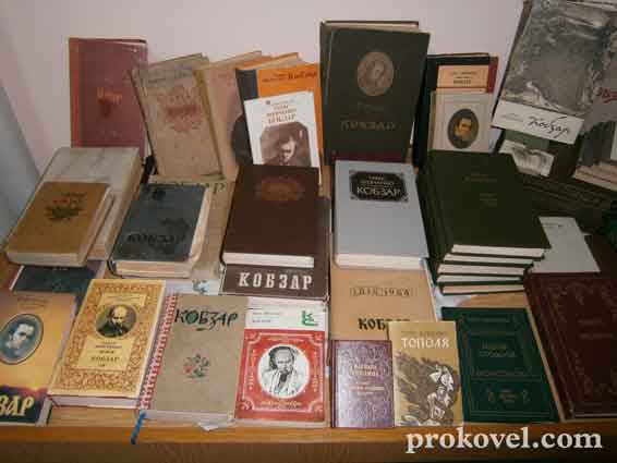 У Ковельському історичному музеї проходить унікальна виставка Кобзарів