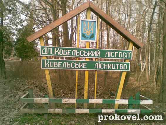 Ковельський держлісгосп
