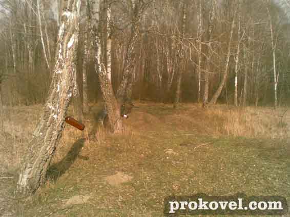 Ковельський держлісгосп активно заготовляє березовий сік