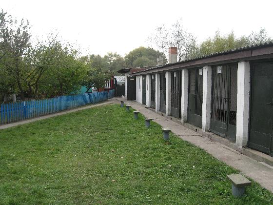 Збори кінологів в Ковельській виховній колонії