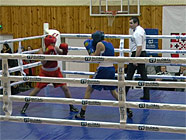 У Ковелі триває чемпіонат України з боксу. Відео