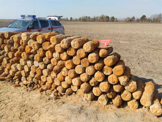 На Ковельщині знайшли велику кількість німецьких боєприпасів. Фото