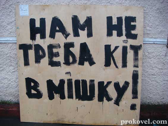 кота в мішку