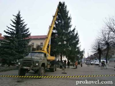 У Ковелі встановили головну ялинку міста