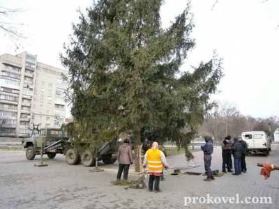 Ковель головна ялинка міста